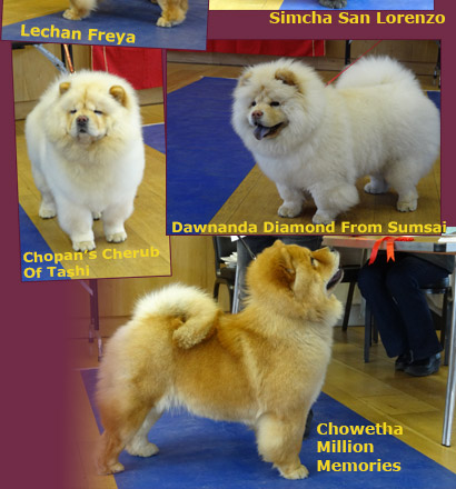 National Chow Chow Club