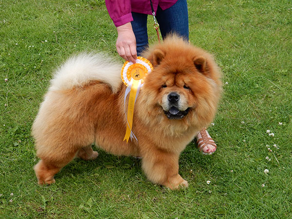 National Chow Chow Club