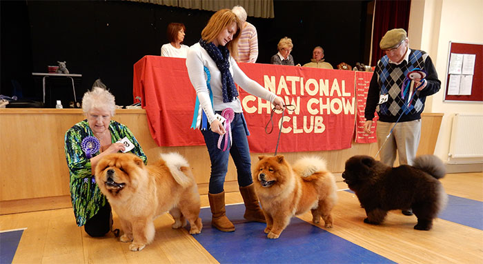 National Chow Chow Club