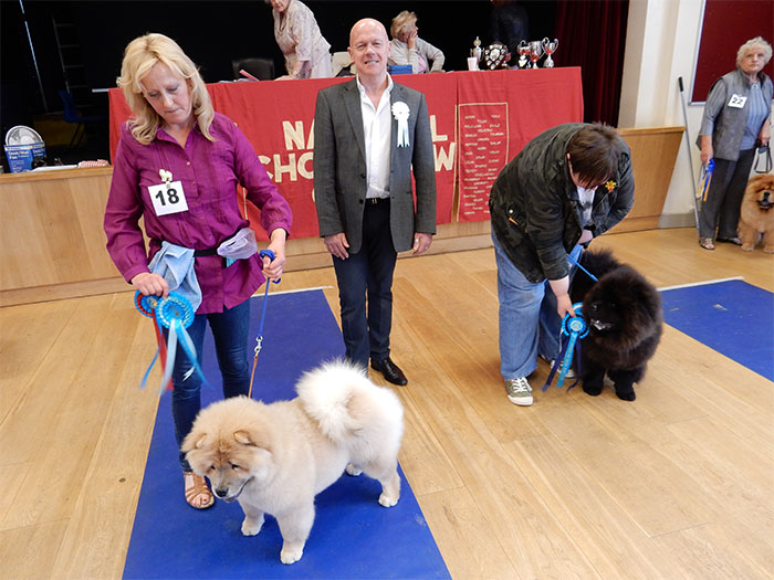 National Chow Chow Club