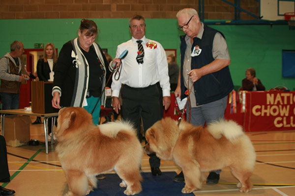 National Chow Chow Club