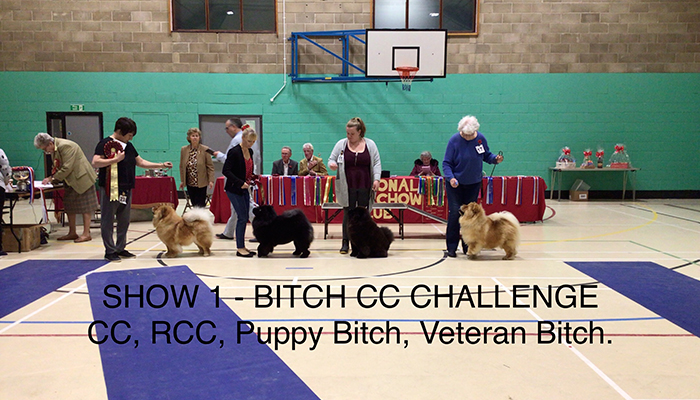 National Chow Chow Club