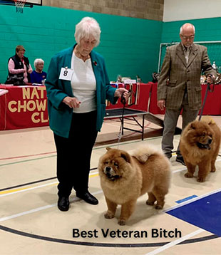 National Chow Chow Club