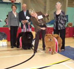 British Chow Chow Club