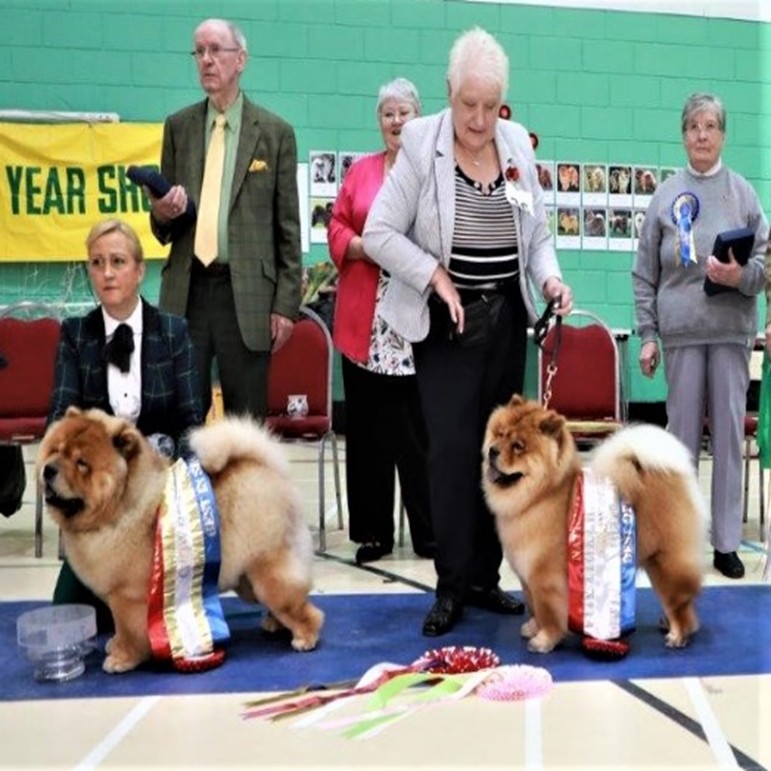 British Chow Chow Club